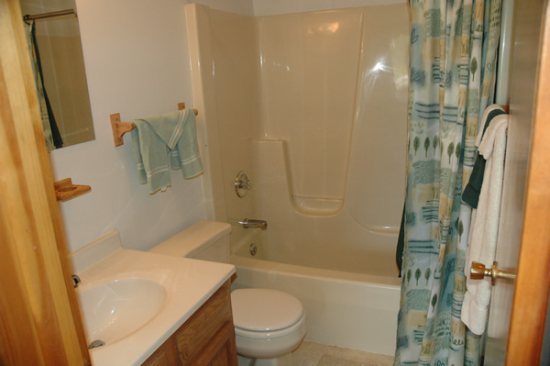 http://www.mountaintoprentals.net/custimages/ww1bbathroom1.jpg